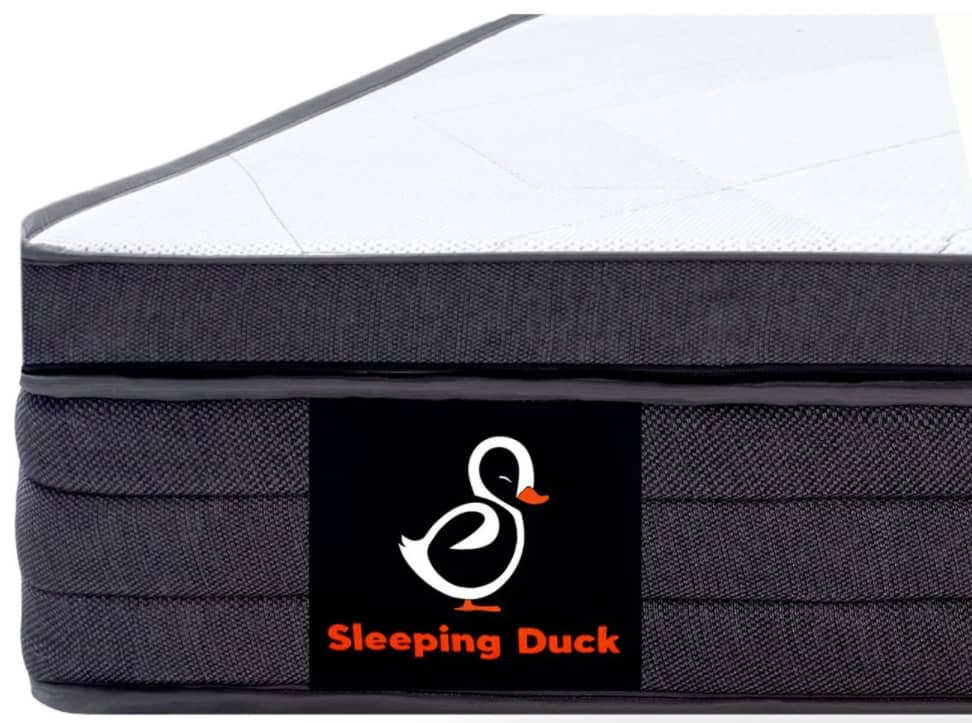 sleeping-duck-review