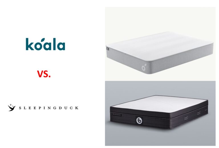 Sleeping Duck vs Koala (2024)