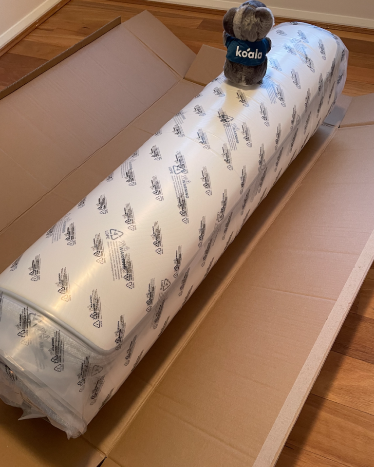 Sleeping Duck vs Koala (2024)