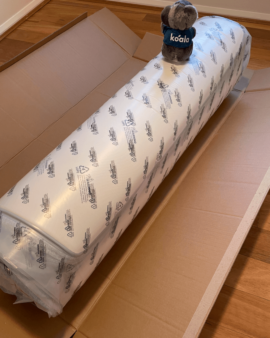 Sleeping Duck vs Koala (2024)