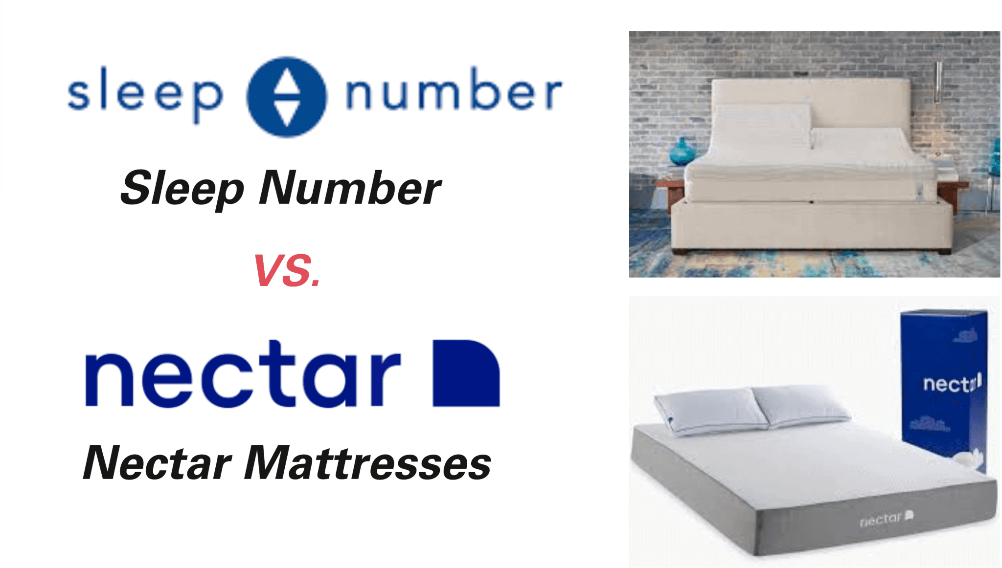 nectar sleep ratings